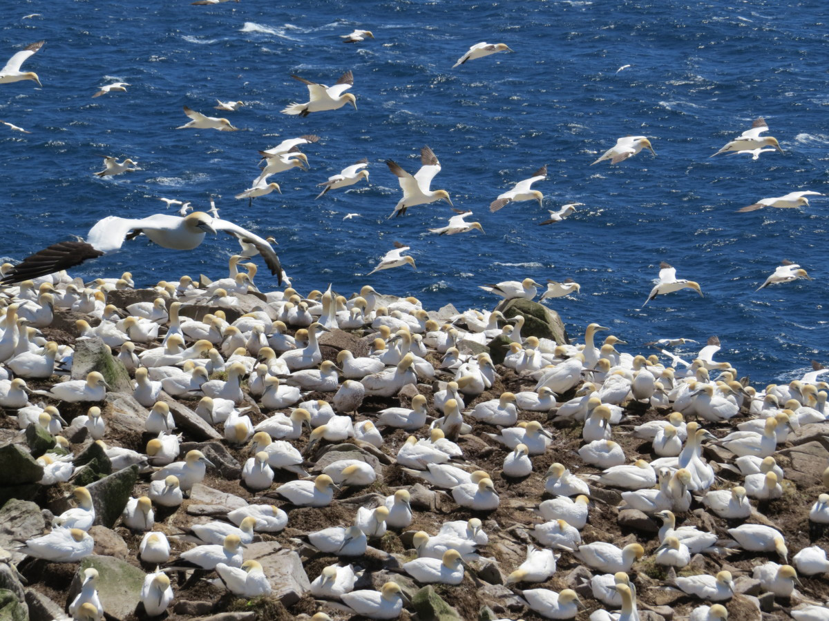 株式会社 レクト