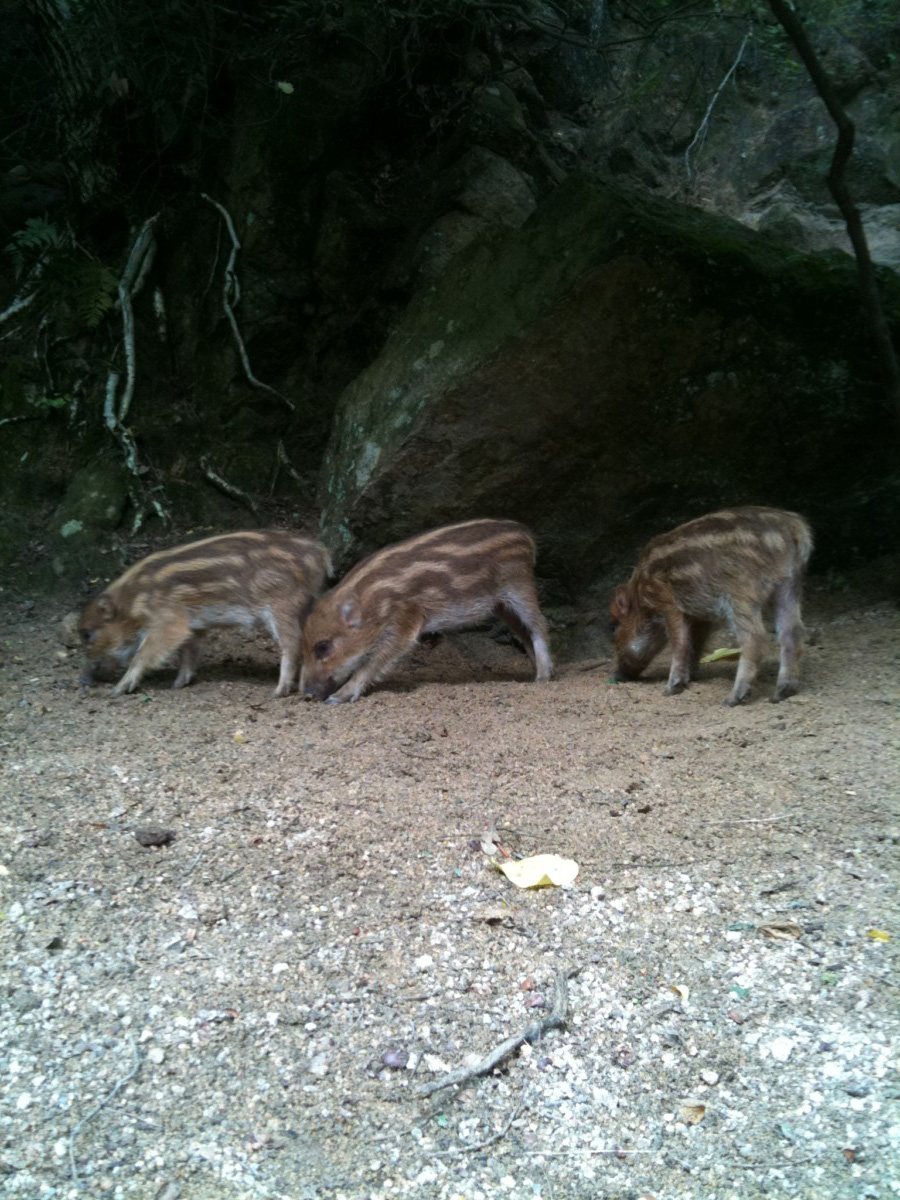 株式会社 レクト