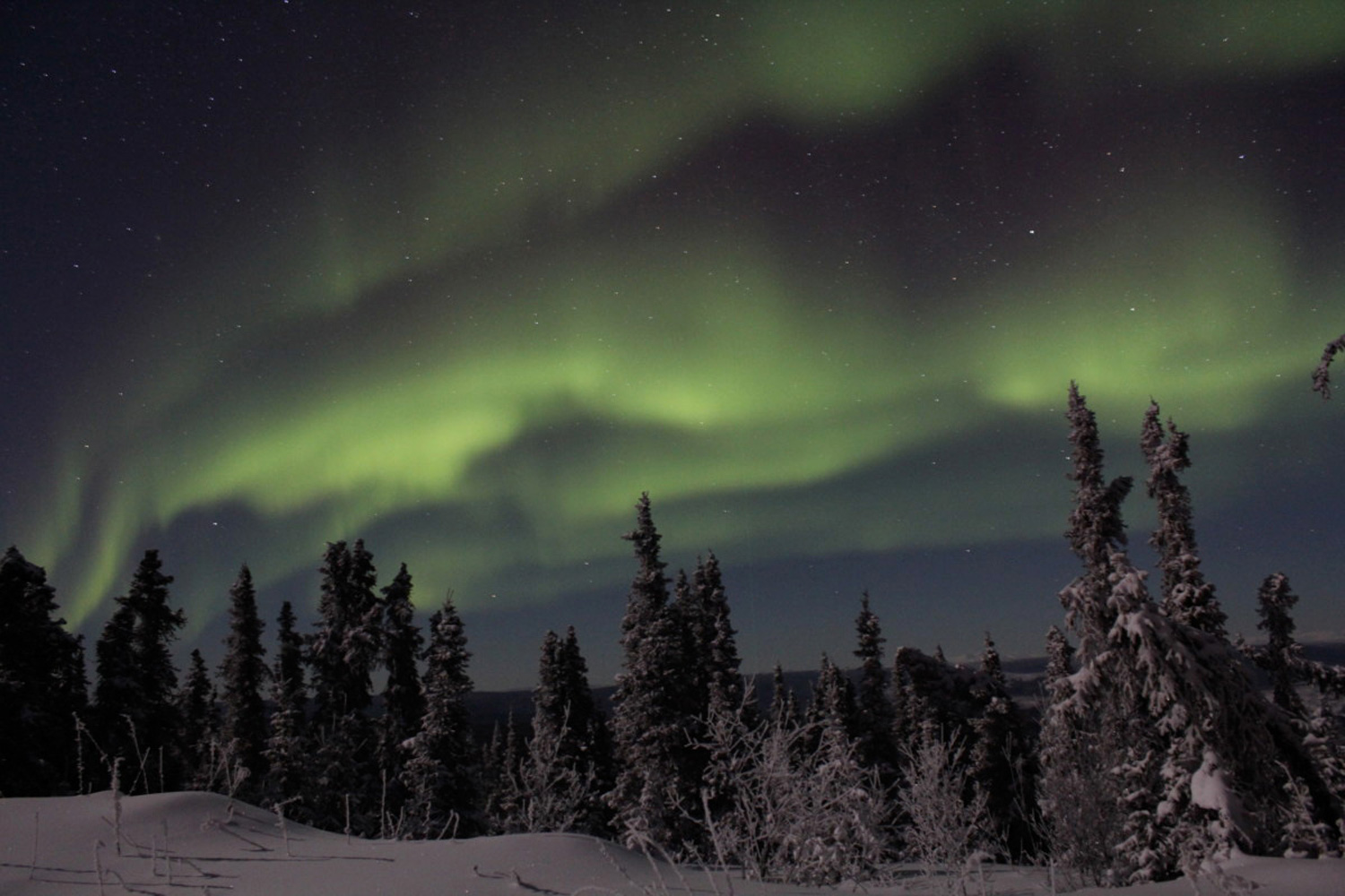 株式会社 レクト